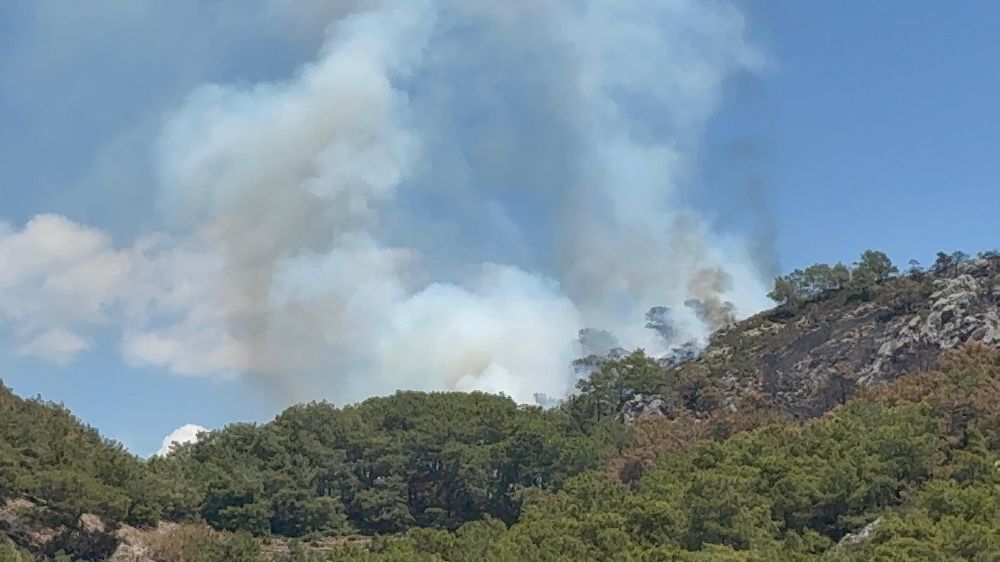 Gazipaşa'da ormanlık alanda yangın
