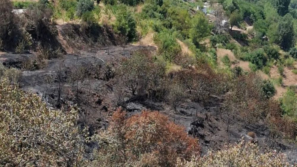 Gazipaşa’da yangın mağduru üreticilerin hasarı tespit edildi