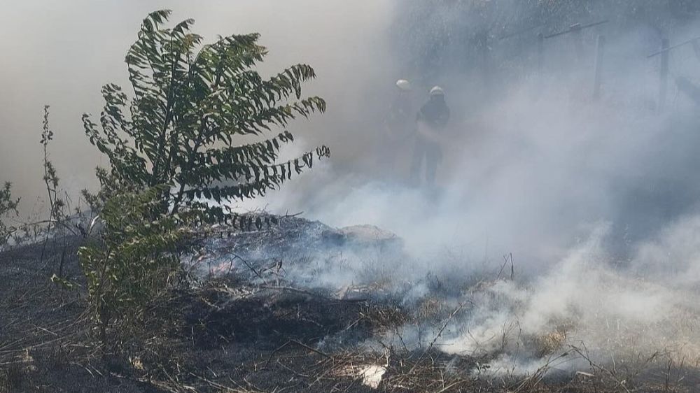 Gediz'de trafo yakınında ot yangını paniğe sebep oldu