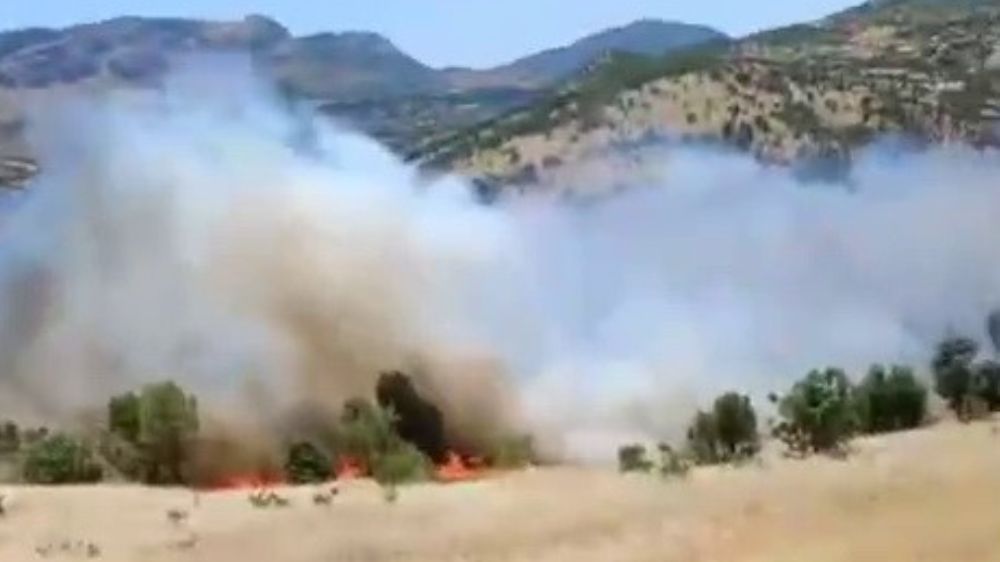 Gerger’de korkutan orman yangını