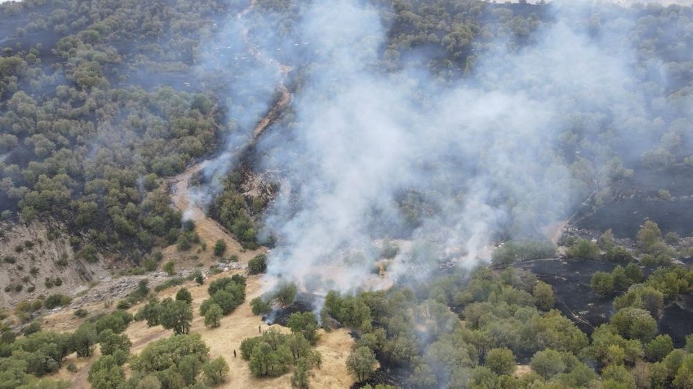 Gerger'deki orman yangını söndürüldü