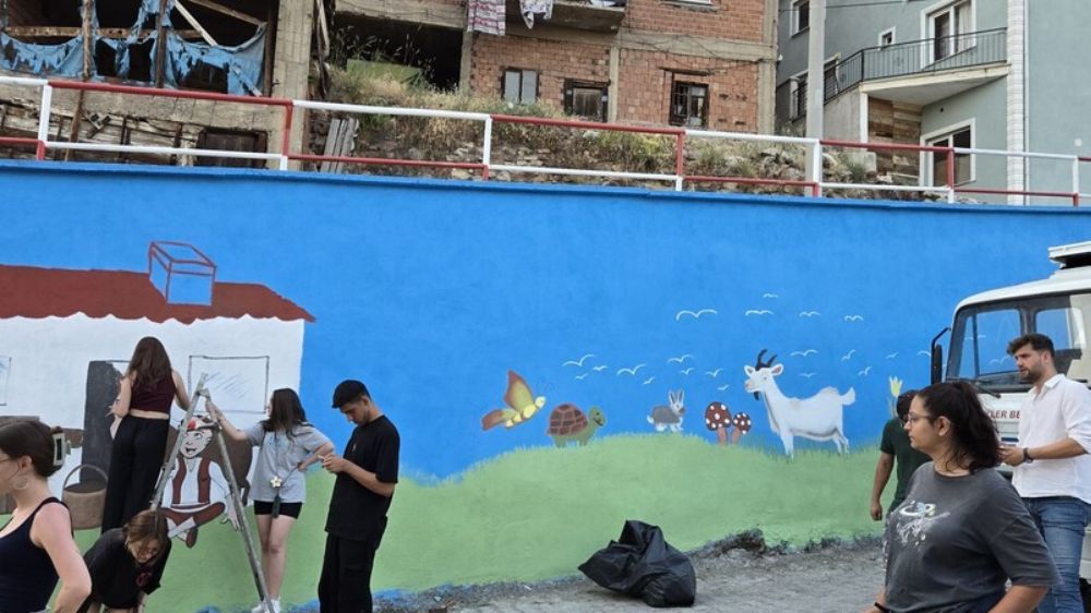 Gökler Beldesinde boş duvarlar sanat eserine dönüştü