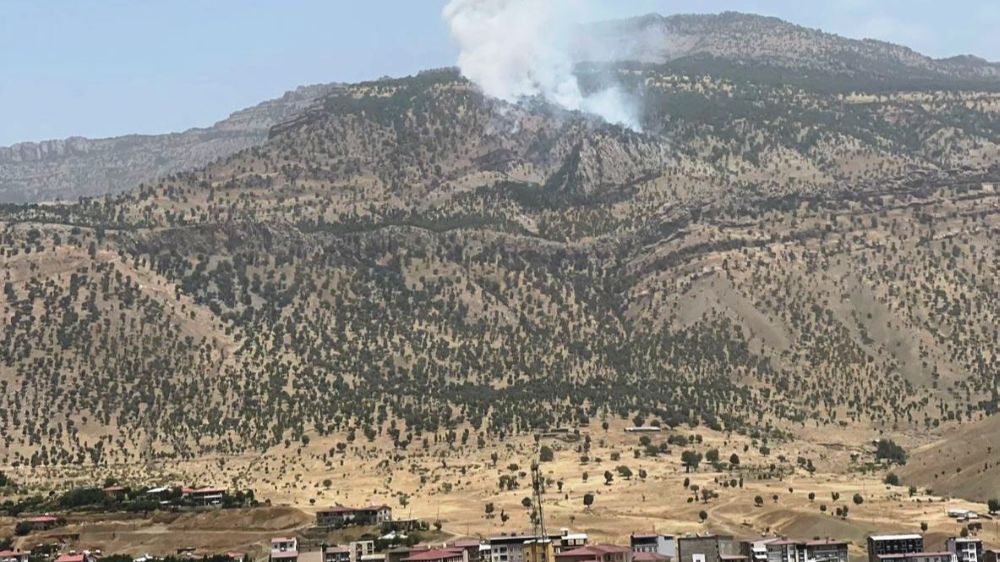 Hakkari'de orman yangını