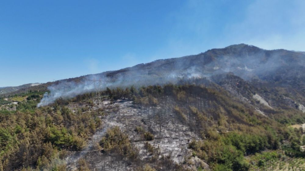  Hatay'da orman yangının etkili olduğu bölge havadan görüntülendi