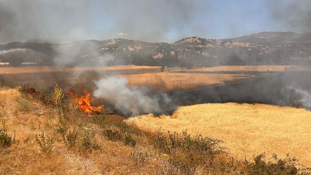 Hisarcık'ta biçerdöver kaynaklı yangında 2,5 dekar ekili alan zarar gördü