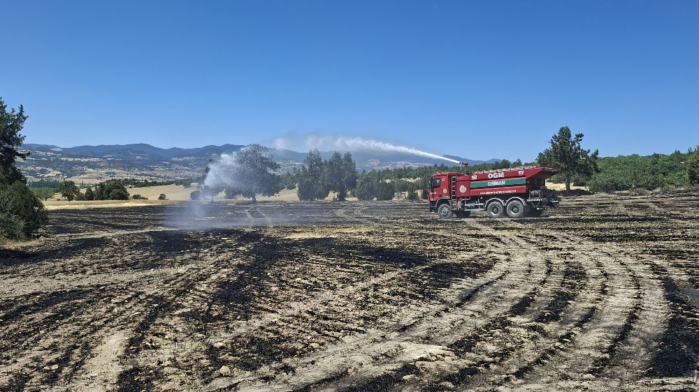 Hisarcık'ta biçerdöverden kaynaklanan yangın 30 dekar alanı kül etti