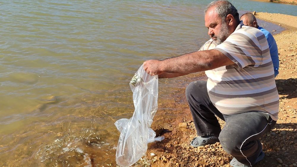 Hüyük’te göletler balıklandırıldı