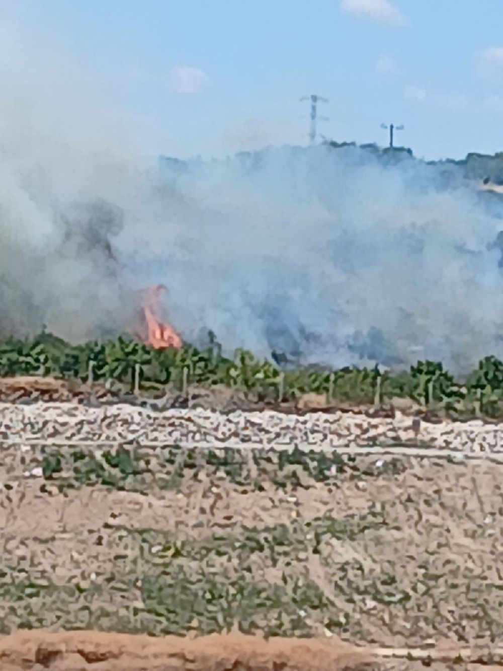 İnegöl'deki orman yangını kontrol altına alındı