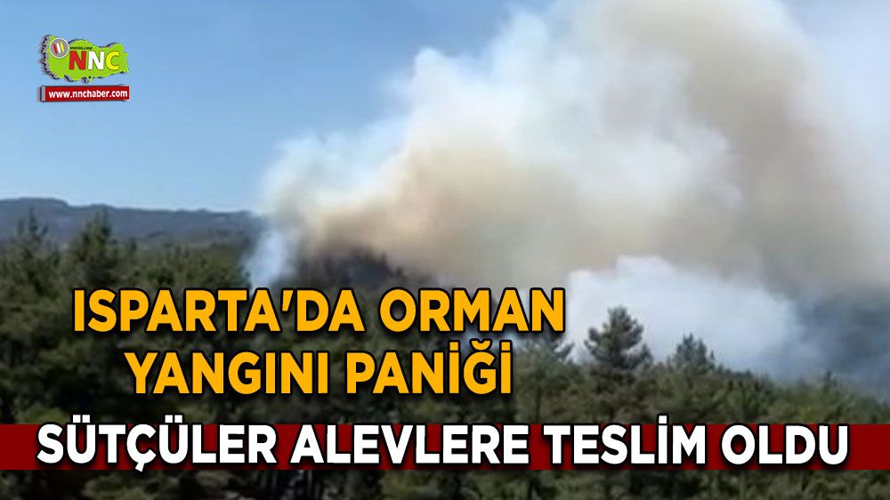 Isparta'da orman yangını paniği Sütçüler alevlere teslim oldu