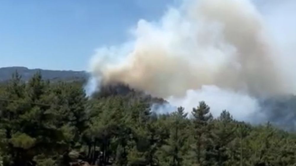 Isparta'da ormanlık alanda yangın