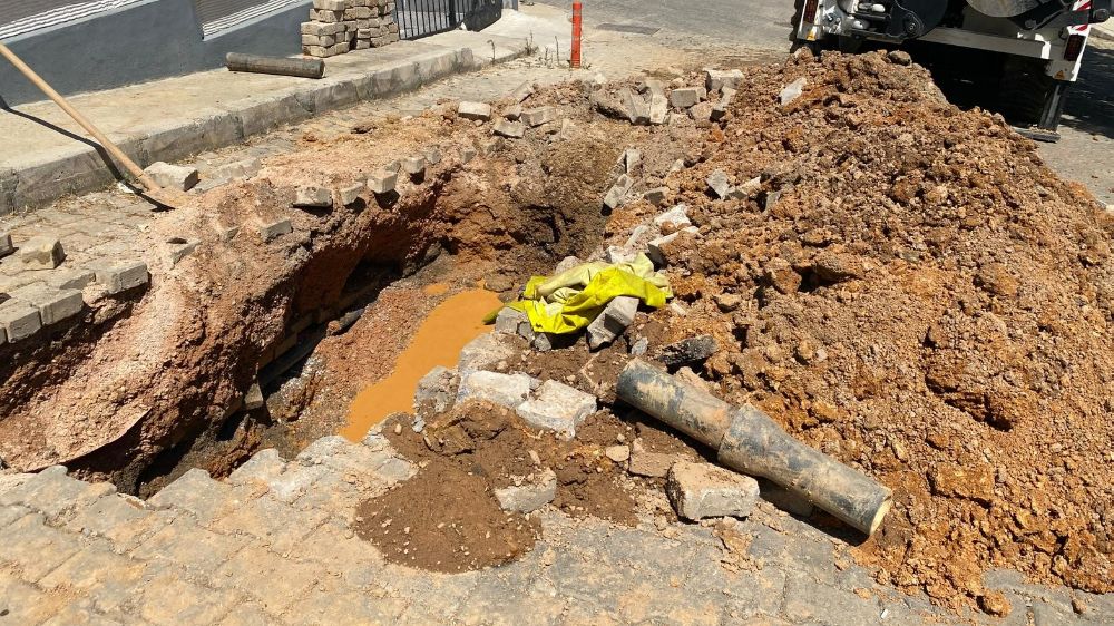 İzmir’de boşa akan su, domuzlara park oldu