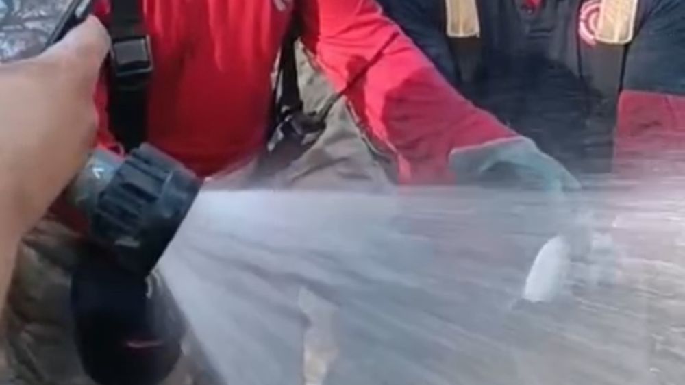 İzmir yangınında itfaiyeciler balığı kurtardı