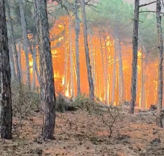 İzmit Körfezi'nde 170 hektar alan dip çamurundan arındırıldı