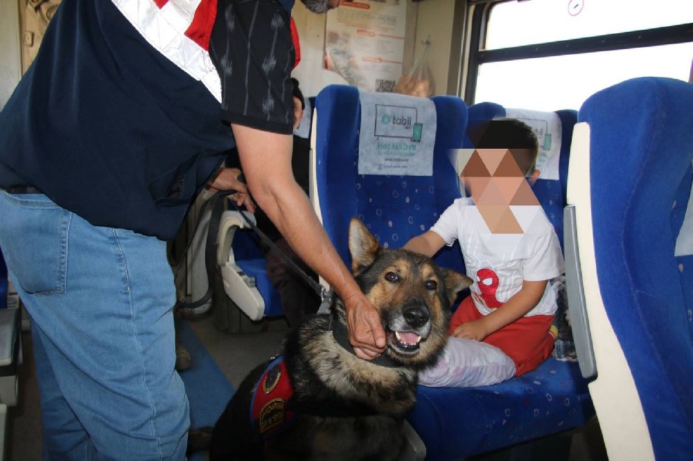 Jandarma ekiplerinden Doğu Ekspresinde asayiş uygulaması