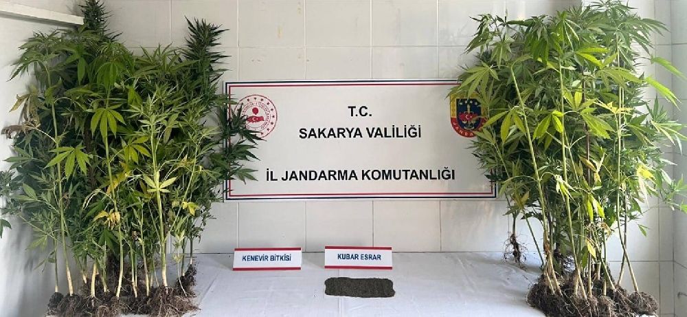 Jandarma uyuşturucuya geçit vermiyor: 1 tutuklama