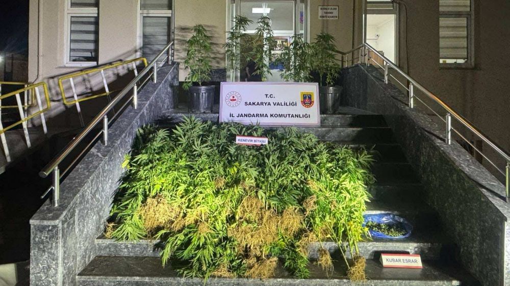 Jandarma uyuşturucuya geçit vermiyor: 1 tutuklama