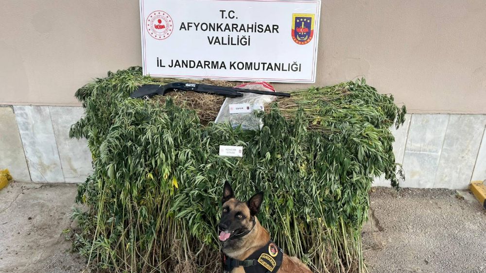 Jandarmadan uyuşturucu operasyonu: 2 gözaltı