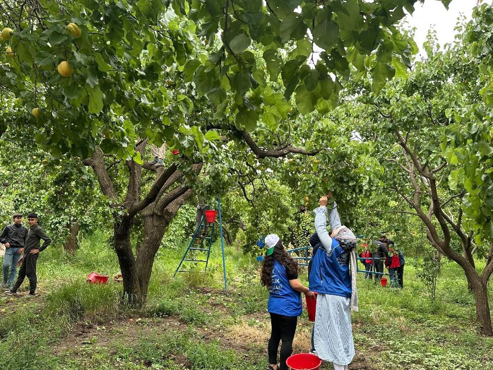 Kağızman’da gençler üretime katılıp geleceğe iz bıraktılar