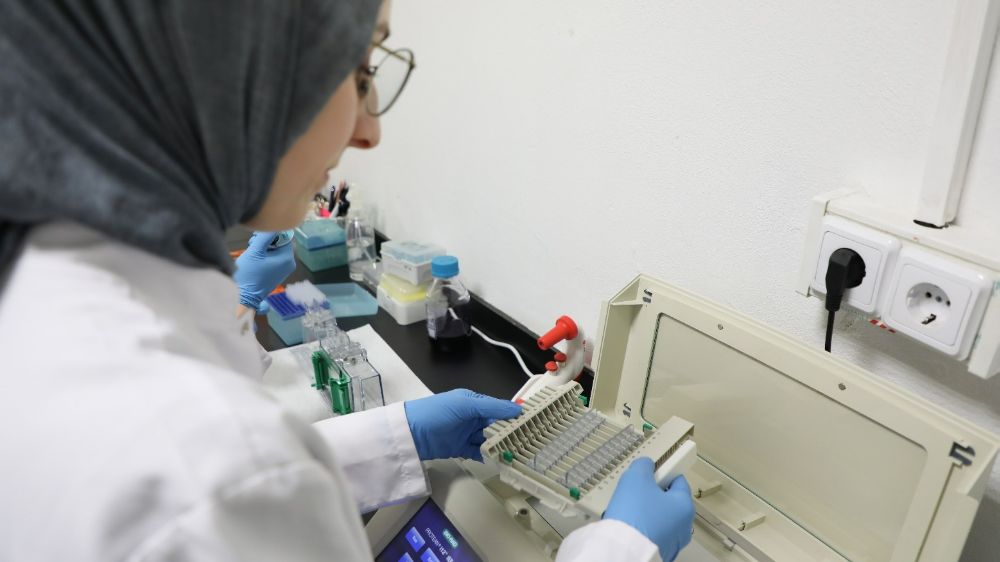 Kanseri önlemede yeni umut: kereviz tohumu