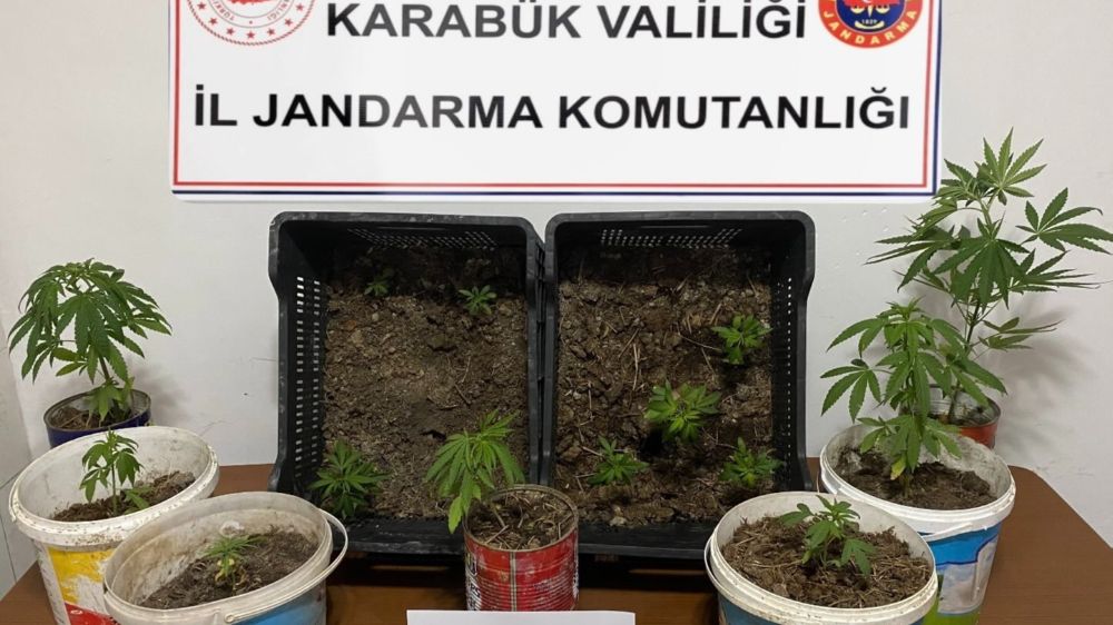 Karabük'te iki evde 14 kök kenevir ele geçirildi