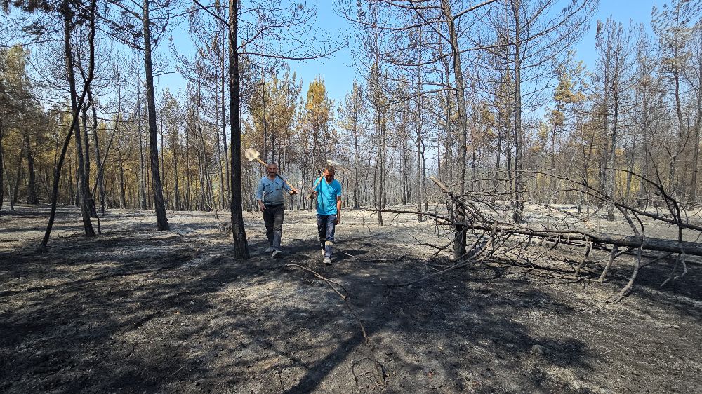 Karabük'teki orman yangınında 120. saate giriliyor