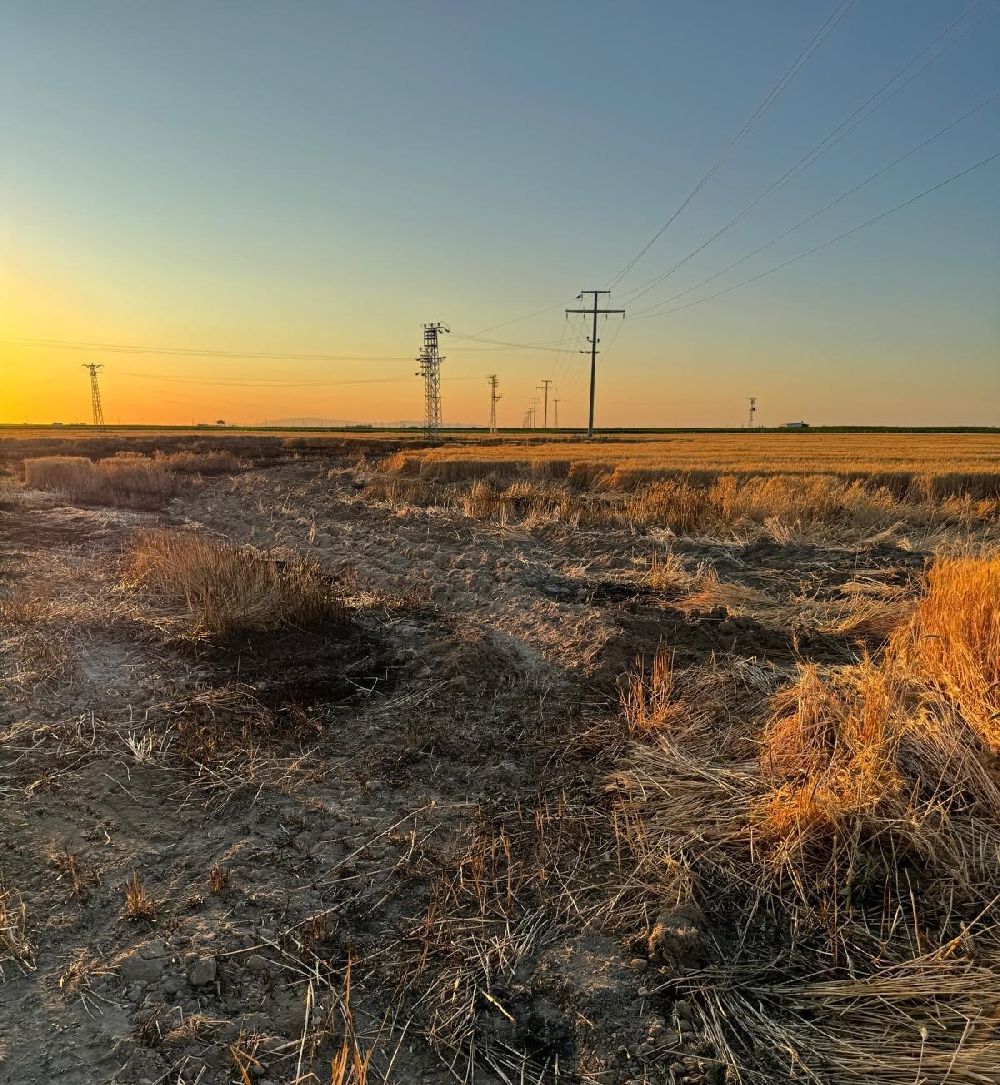 Karapınar’da buğday tarlasında yangın