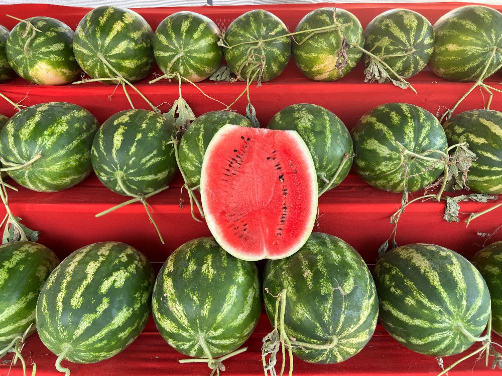 Karpuzcu Hüseyin Bucak’ta tezgah açtı! Uygun fiyatlarla sizi bekliyor