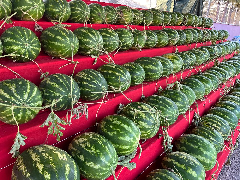Karpuzcu Hüseyin Bucak’ta tezgah açtı! Uygun fiyatlarla sizi bekliyor
