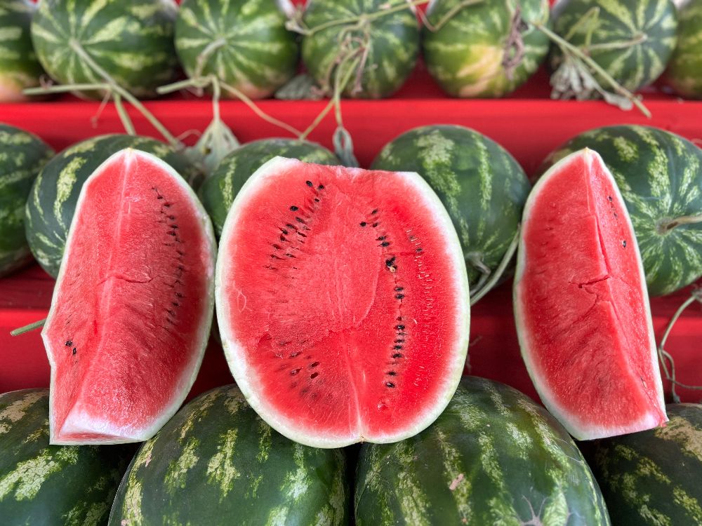 Karpuzcu Hüseyin Bucak’ta tezgah açtı! Uygun fiyatlarla sizi bekliyor