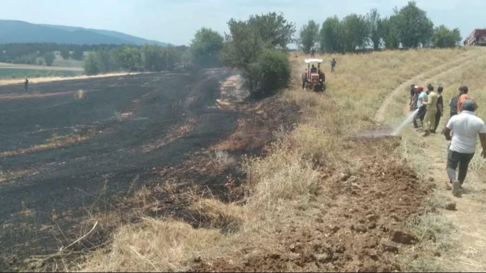 Kastamonu'da tarlalda çıkan örtü yangını söndürüldü