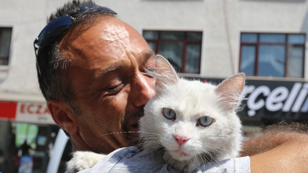 Kayıp kedisine günler sonra kavuştu, bu kez mutluluktan ağladı