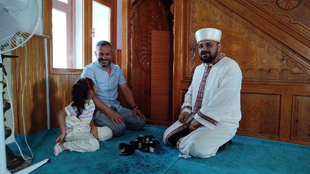 Kedi yavruları ile camiye sığındı