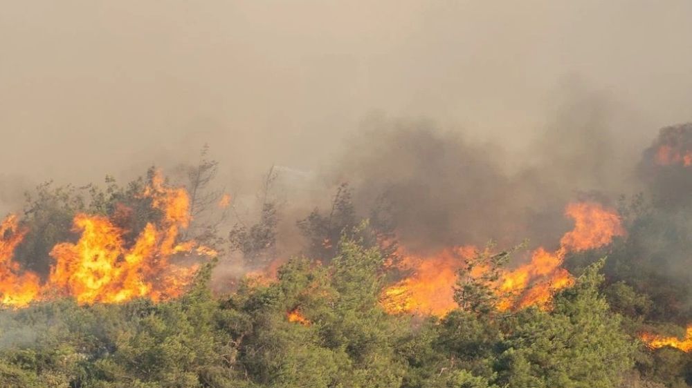 Kocaeli itfaiyesinden Sakarya'ya destek