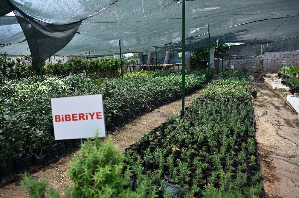 Kocagöz: "Kepez üreten bir belediye"