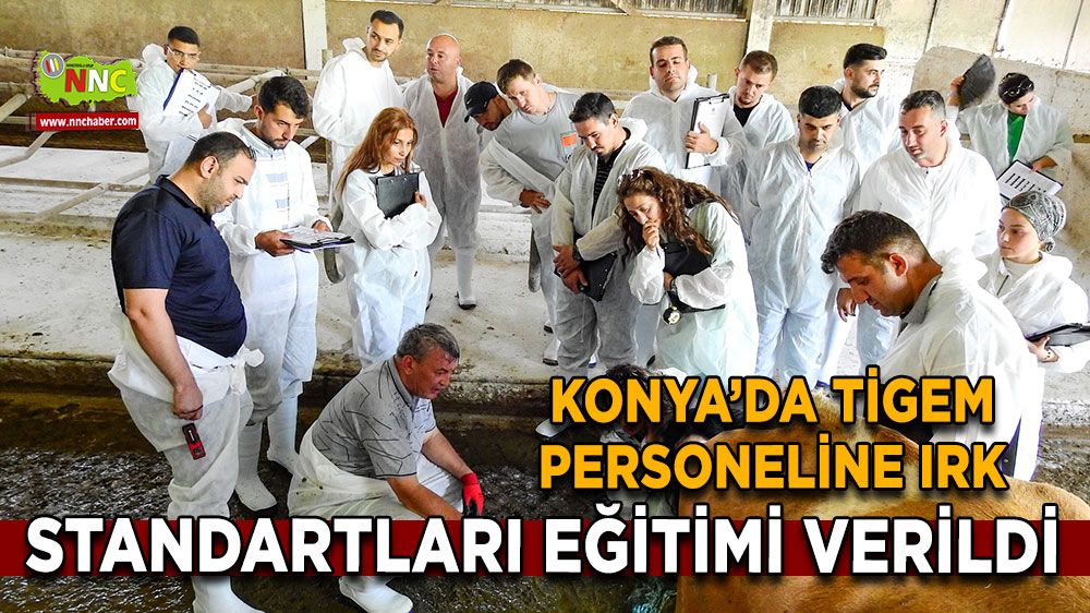 Konya’da TİGEM personeline ırk standartları eğitimi verildi