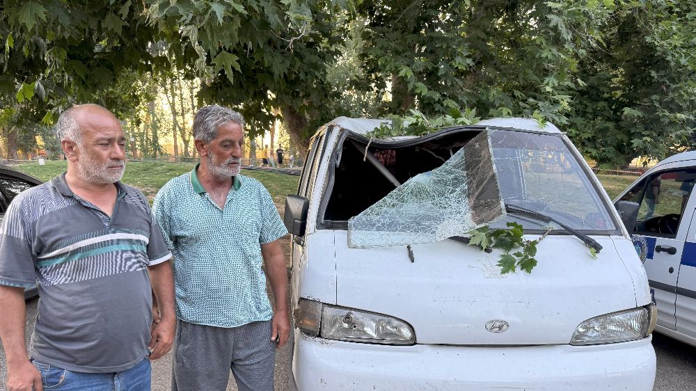 Konya Ereğli'de Piknik alanında ağacın dalı vatandaşların üzerine devrildi 11 yaralı