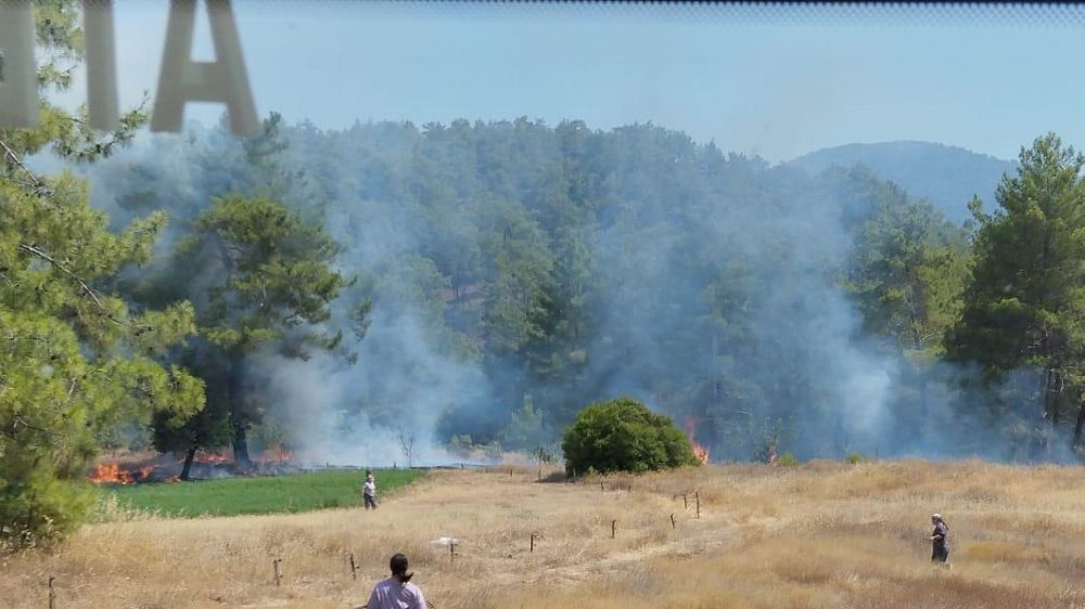Köyceğiz’de ot yangını