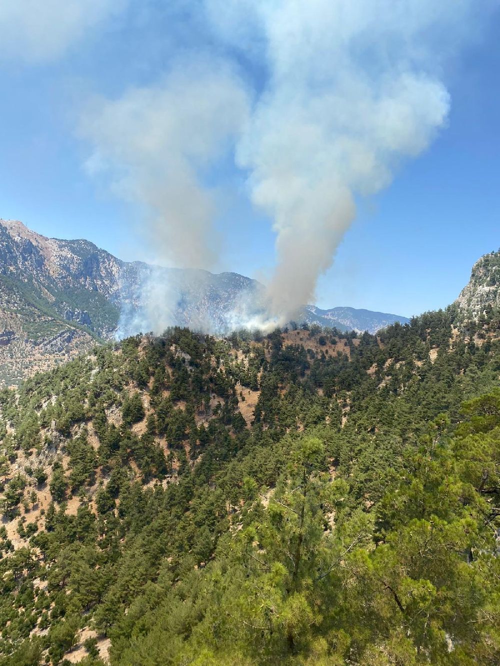 Kozan'da ormanlık alanda yangın çıktı