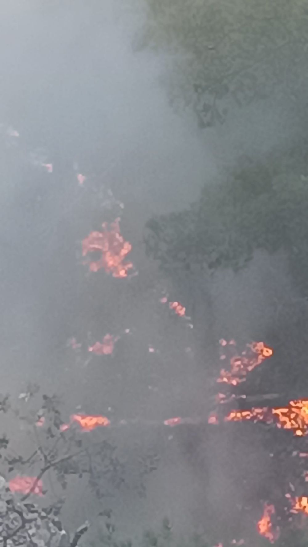 Kozan'da ormanlık alanda yangın çıktı