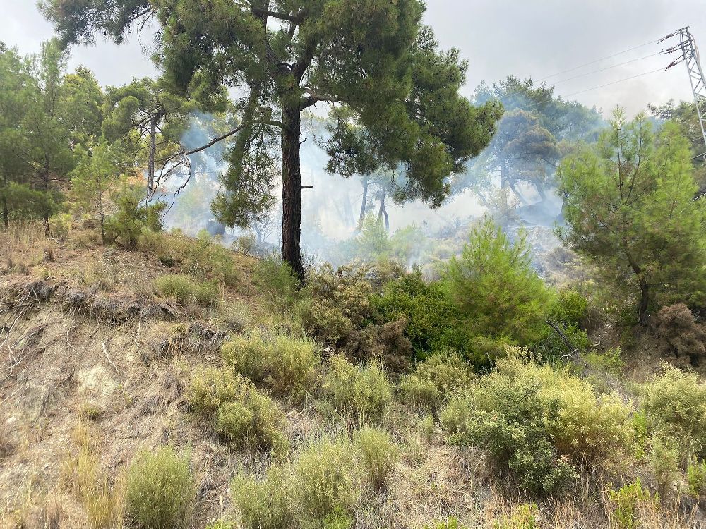 Kumluca’da çıkan orman yangınında 1 dekar alan yandı