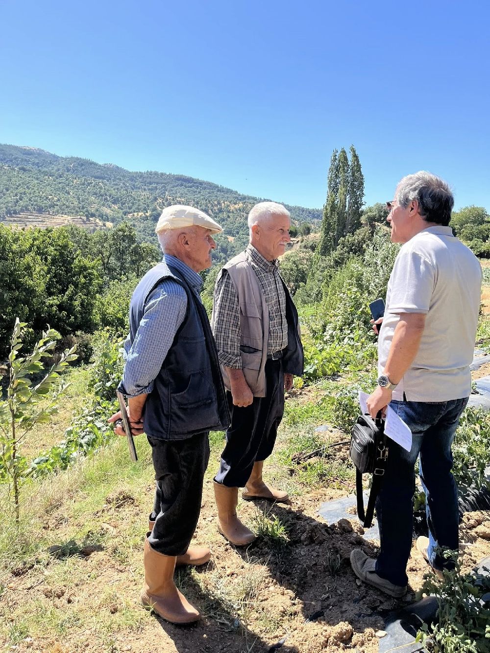 Kuyucak Tarım Müdürlüğü'nden üreticiye zararlı uyarısı