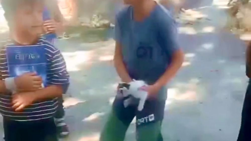 Kuyuda mahsur kalan kedinin yardımına çocuklar yetişti