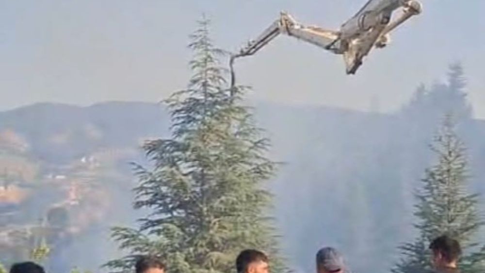 Malatya'daki orman yangınına beton pompasıyla destek