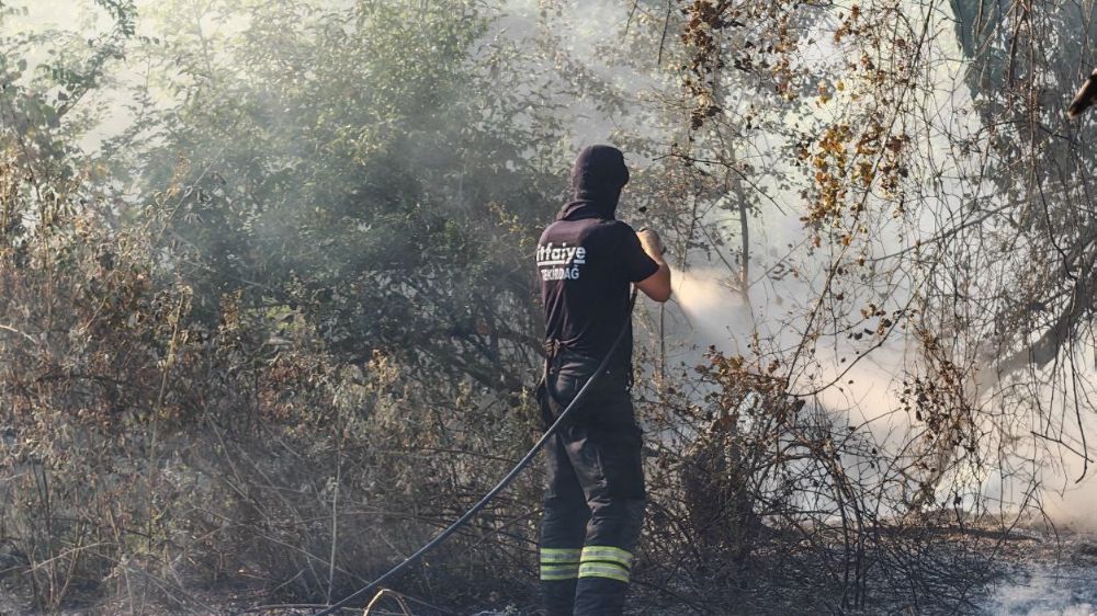 Malkara’da ormana sıçrayan anız yangını kontrol altına alındı