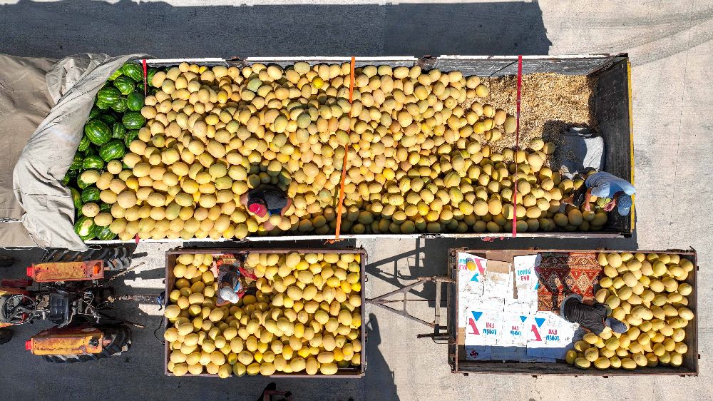 Manavgat'ın yeni toptancı hali hizmete hazır