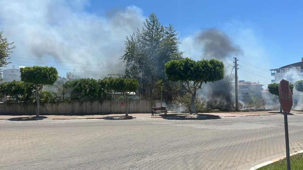 Manavgat'ta çıkan çalılık yangını korkuttu