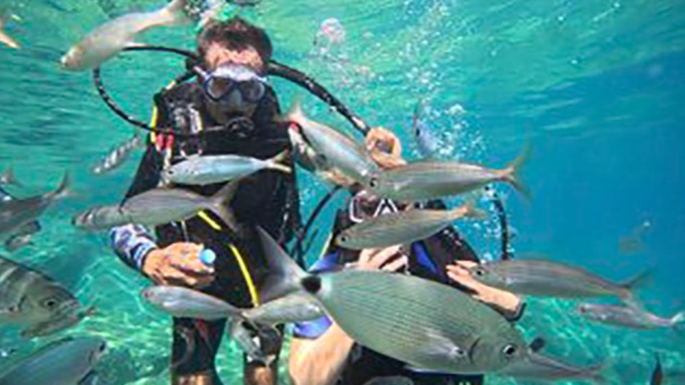 Marmaris'te dalış turizmine ilgi artıyor