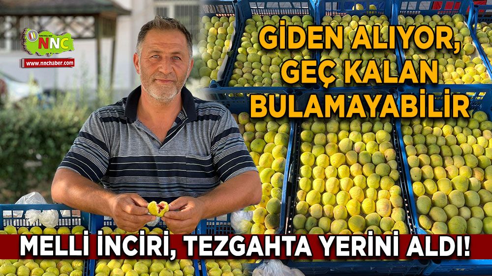 Melli İnciri, tezgahta yerini aldı! Giden alıyor, geç kalan bulamayabilir