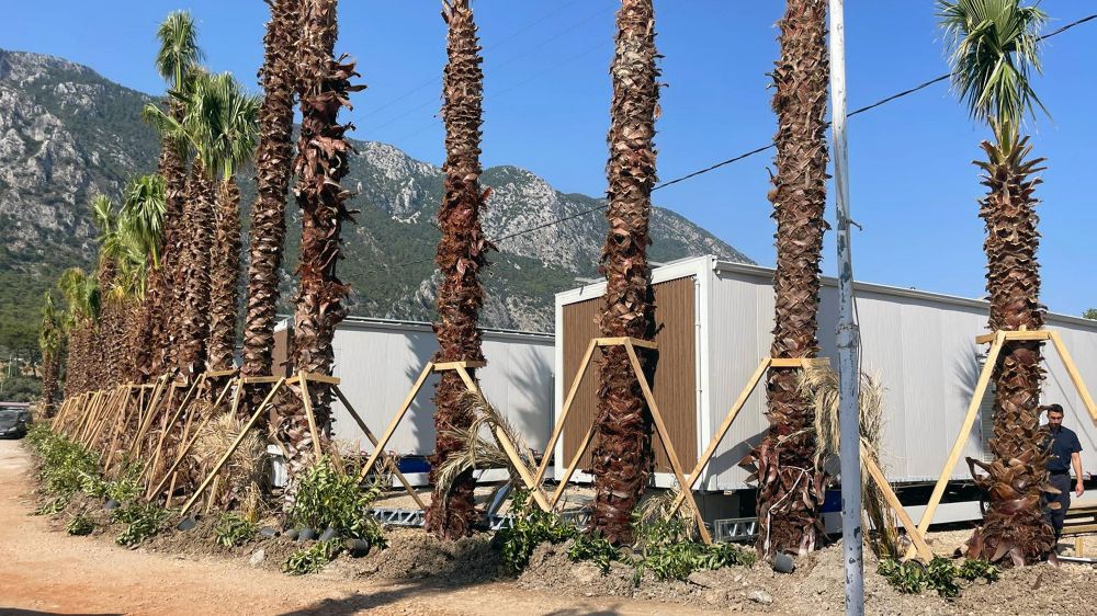 Menteşe Belediyesi Akbük’te 11 Tiny House’u mühürledi