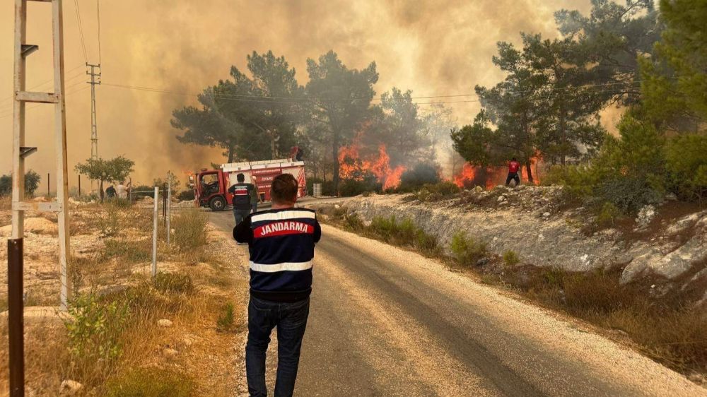 Mersin’deki orman yangınında jandarma ekipleri aktif rol aldı